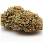 Шишки AK47 (Гидропоника, Бошка) VHQ в Иваново Шишки AK47 (Гидропоника, Бошка) VHQ в Иваново